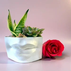 THE KISS: SUCCULENTS