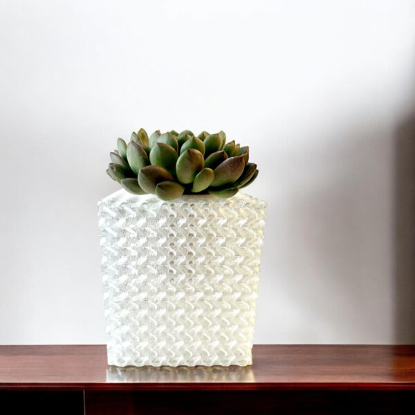 CUBIC ICE WITH SUCCULENT - Image 2