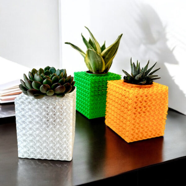 CUBIC ICE WITH SUCCULENT - Image 4
