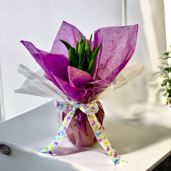 Wrapped Tulips - Image 2