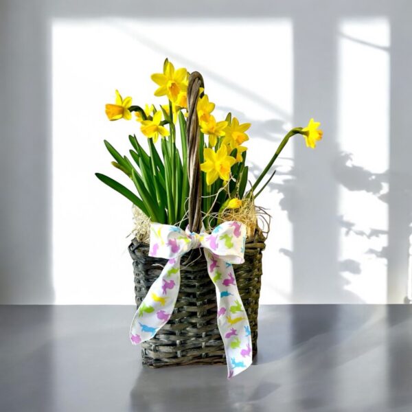 Daffodil in a Easter Basket - Image 2