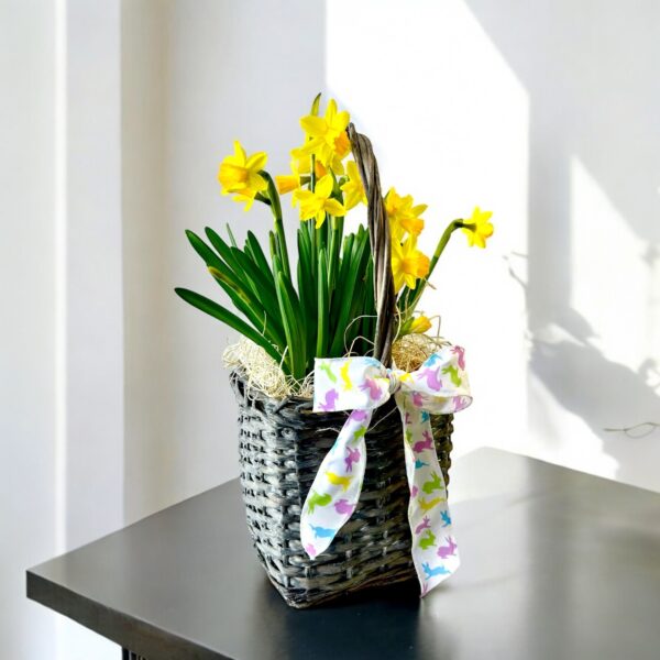 Daffodil in a Easter Basket