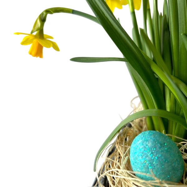 Daffodil in a Easter Basket - Image 4
