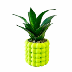 Snake in a Pineapple Pot - Image 2