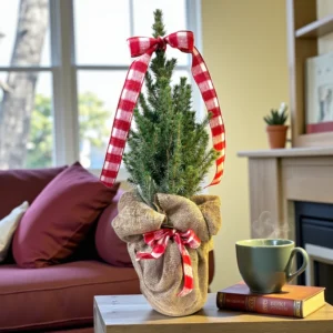 CHRISTMAS TREE 1 GALLON