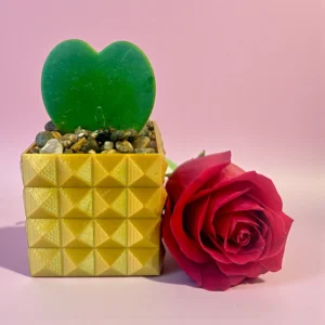 Hoya Heart in Gold Pot